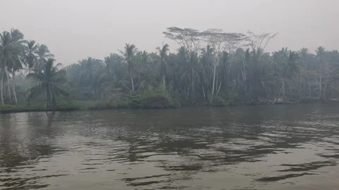 Calm River Flowing with Gentle Ripples and Riverside Trees in West Kalimantan Stock Footage 346400013