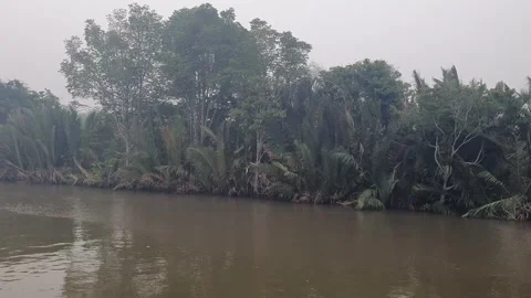Calm River Flowing with Gentle Ripples and Riverside Trees in West Kalimantan Stock Footage 346400097