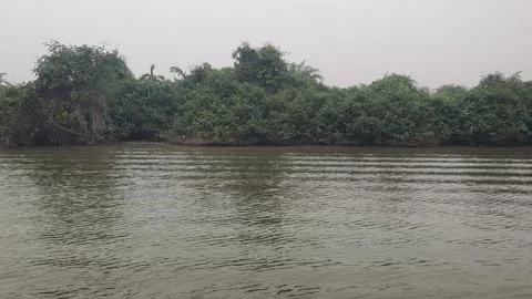 Calm River Flowing with Gentle Ripples and Riverside Trees in West Kalimantan Stock Footage 346425593