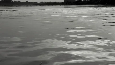 Calm River Flowing Gently Under Overcast Sky In Nature. 4k video Stock Footage 340523034
