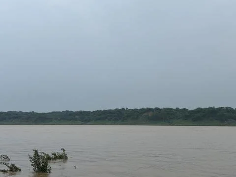 A calm river flowing in monsoon Stock Photos
