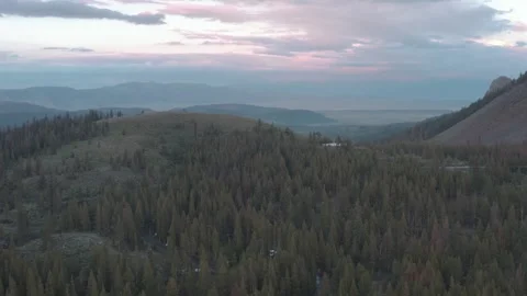 Calm River Flowing Through Alpine Forest 스톡 동영상 307730012