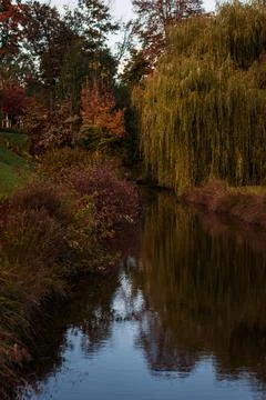 Calm river flowing through forest in autumn in Stromovka park Prague Stock Photos