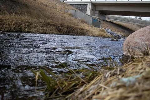 Calm River Flowing Through Grassy Valley Foto stock