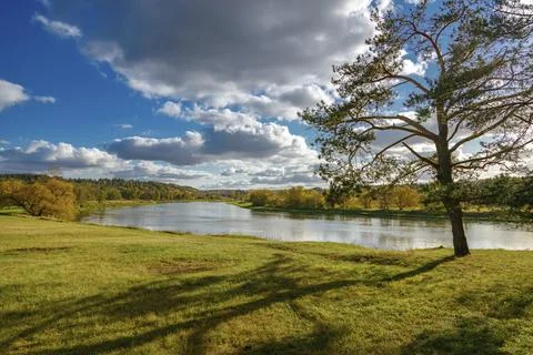 Calm river flowing through grassy field with large tree, autumn forest Stock Photos