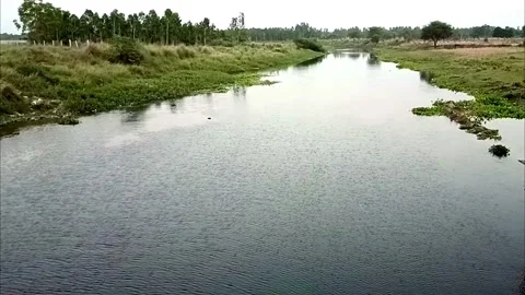 Calm River Flowing Through Green Rural Landscape Vídeo Stock 335115694