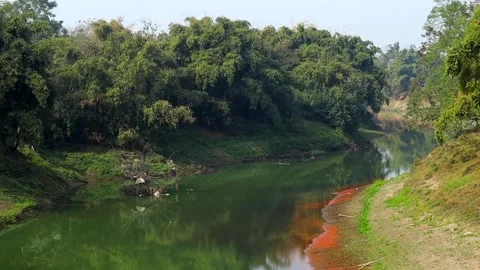 Calm River Flowing Through Lush Green Forest in Rural Landscape Stock Footage 328820504