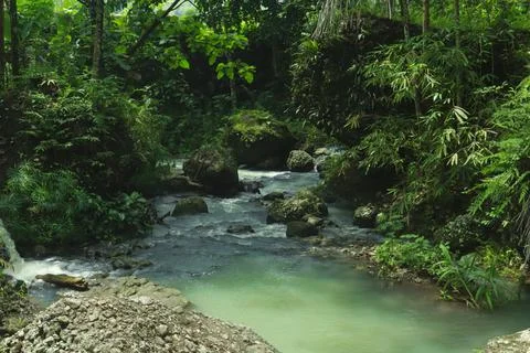 Calm River Flowing Through Rocks in a Tropical Forest Stock Photos