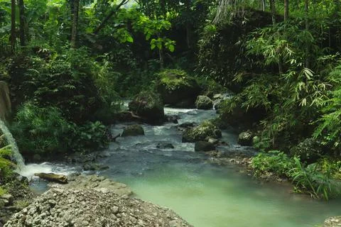 Calm River Flowing Through Rocks in a Tropical Forest Stock Photos