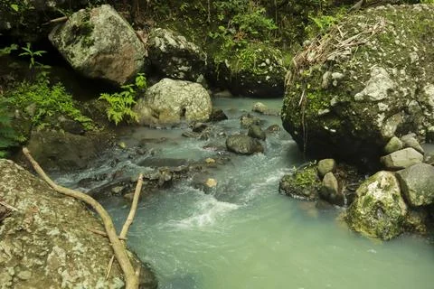 Calm River Flowing Through Rocks in a Tropical Forest Stock Photos