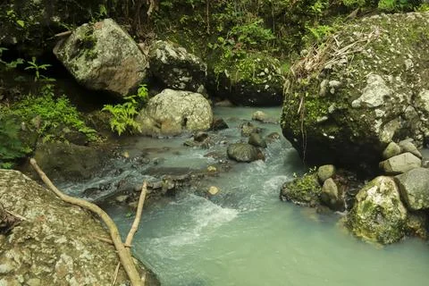Calm River Flowing Through Rocks in a Tropical Forest Stock Photos