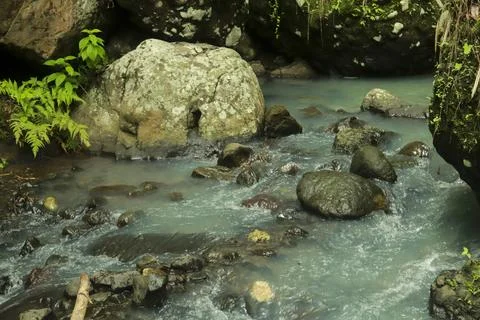Calm River Flowing Through Rocks in a Tropical Forest Stock Photos