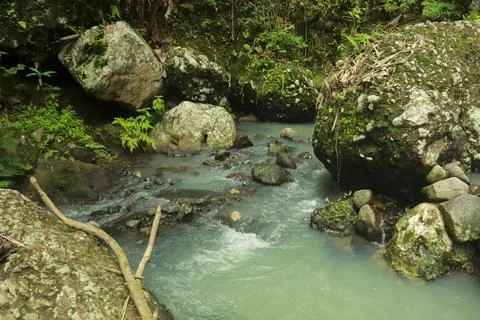 Calm River Flowing Through Rocks in a Tropical Forest Stock Photos