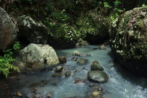 Calm River Flowing Through Rocks in a Tropical Forest Stock Photos