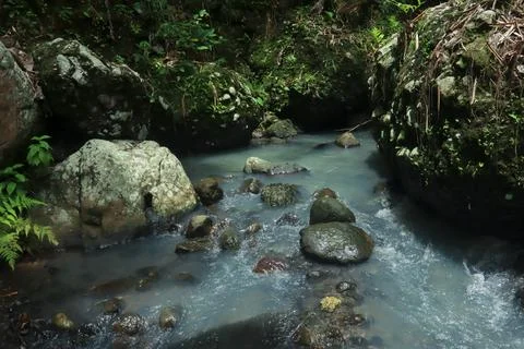 Calm River Flowing Through Rocks in a Tropical Forest Stock Photos