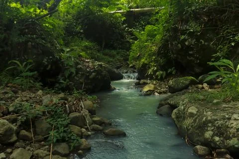 Calm River Flowing Through Rocks in a Tropical Forest Stock Photos