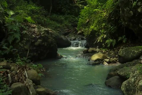 Calm River Flowing Through Rocks in a Tropical Forest Stock Photos