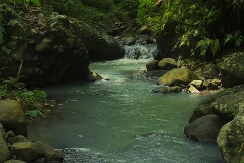 Calm River Flowing Through Rocks in a Tropical Forest Stock Photos