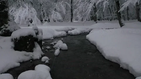 Calm River Flowing Through Snowy Winter Forest. Aerial view 動画素材 315873953