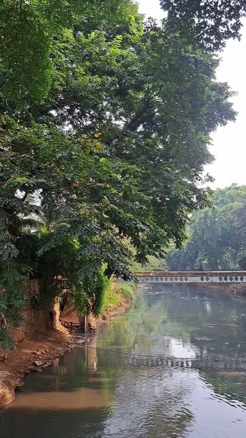Calm River Flowing Through Urban Park Stock Footage 331417896