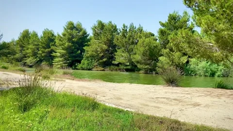 A calm river flows along a beautiful pine forest. The road is near. Stock Footage 249110849