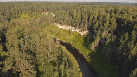 Calm river flows among trees in countryside. Aerial of woody banks Stock Footage 102455426
