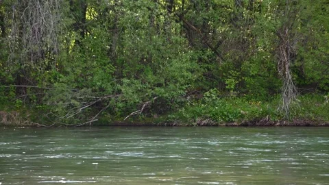 A calm river flows downstream Stock Footage 219690604