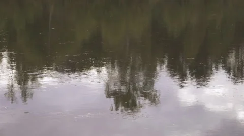 Calm river flows slowly, on its smooth surface reflected forest and sky Stock Footage 64581411