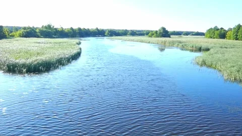 Calm river flows through grassy banks in a sunny afternoon Stock Footage 326960833