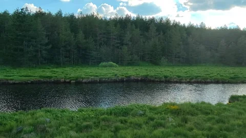 Calm river flows through green meadow and forest. Rzav River (Zlatibor), Serbia. Stock-Footage 337122685