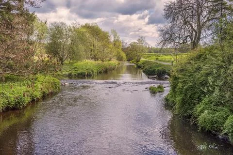 Calm river flows through green, leafy banks Stock Photos