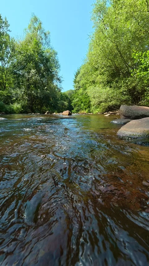 Calm river flows through lush green forest. Temska River Canyon, Vertical 動画素材 345897769