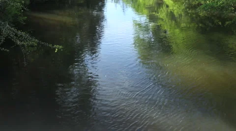 Calm river Stock Footage 953327