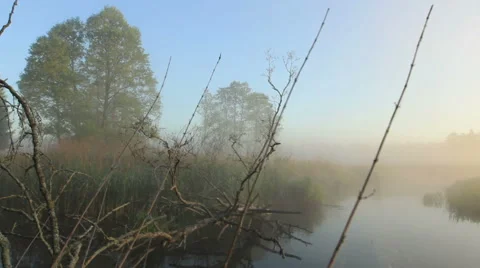 Calm river Stock Footage 51235091