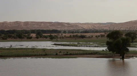 Calm river 스톡 동영상 68005213