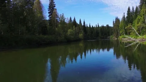 Calm river Stock Footage 81662761