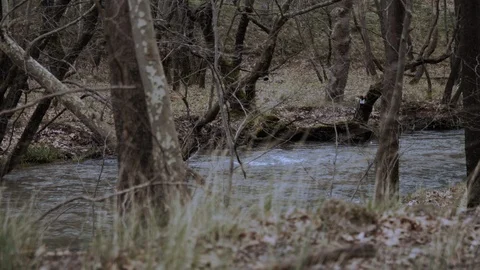 Calm River Stock Footage 87714069