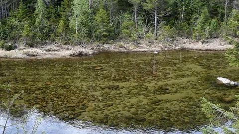 Calm river Stock Footage 92349359