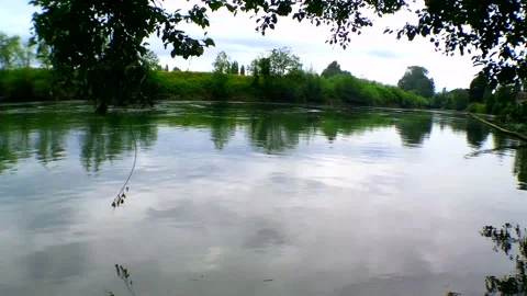 Calm river Vidéo 156637795