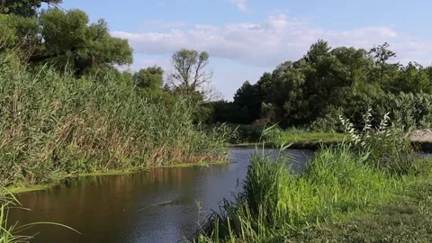 A calm river Stock Footage 157680352