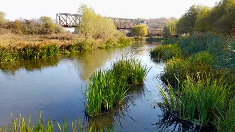 Calm river Stock Footage 165408627