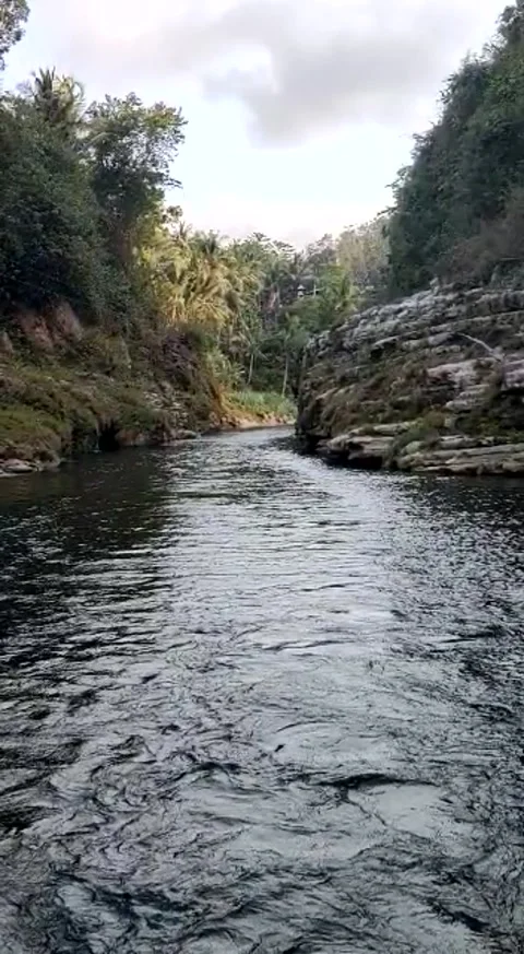 Calm river Stock Footage 221042000