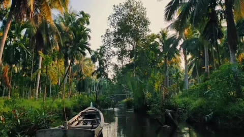 Calm river Video stock 245194081