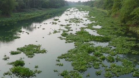 Calm River Stock Footage 333924184
