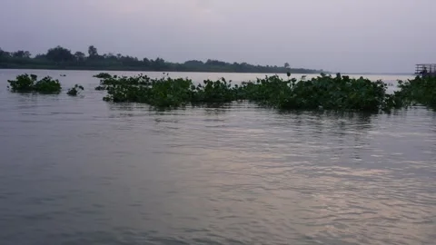 Calm River Stock Footage 336685525