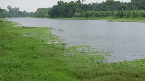 Calm River Video stock 340771845