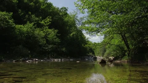 A calm river in a forest Stock Footage 58733424