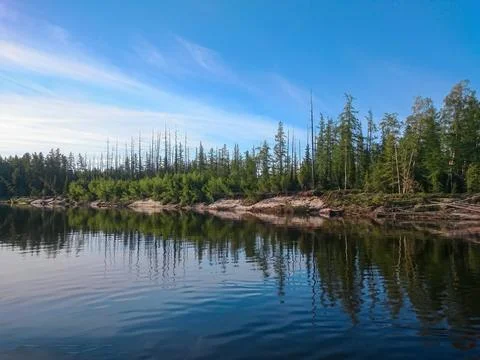 Calm river forest reflection summer landscape Stock Photos