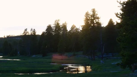 Calm river in a grass field while sun sets Stock Footage 128205285