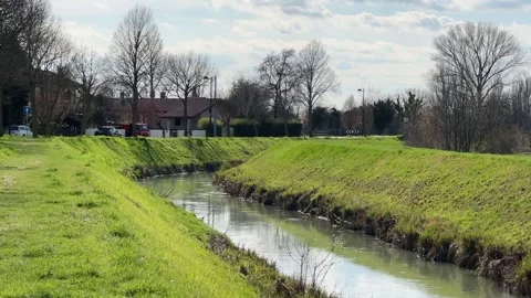 Calm river, green grass, rural landscape Stock Footage 240859641